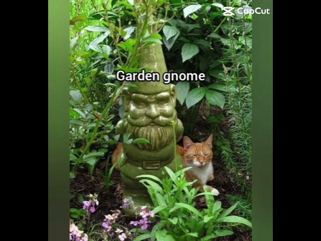 Video thumbnail for 12 October 2025