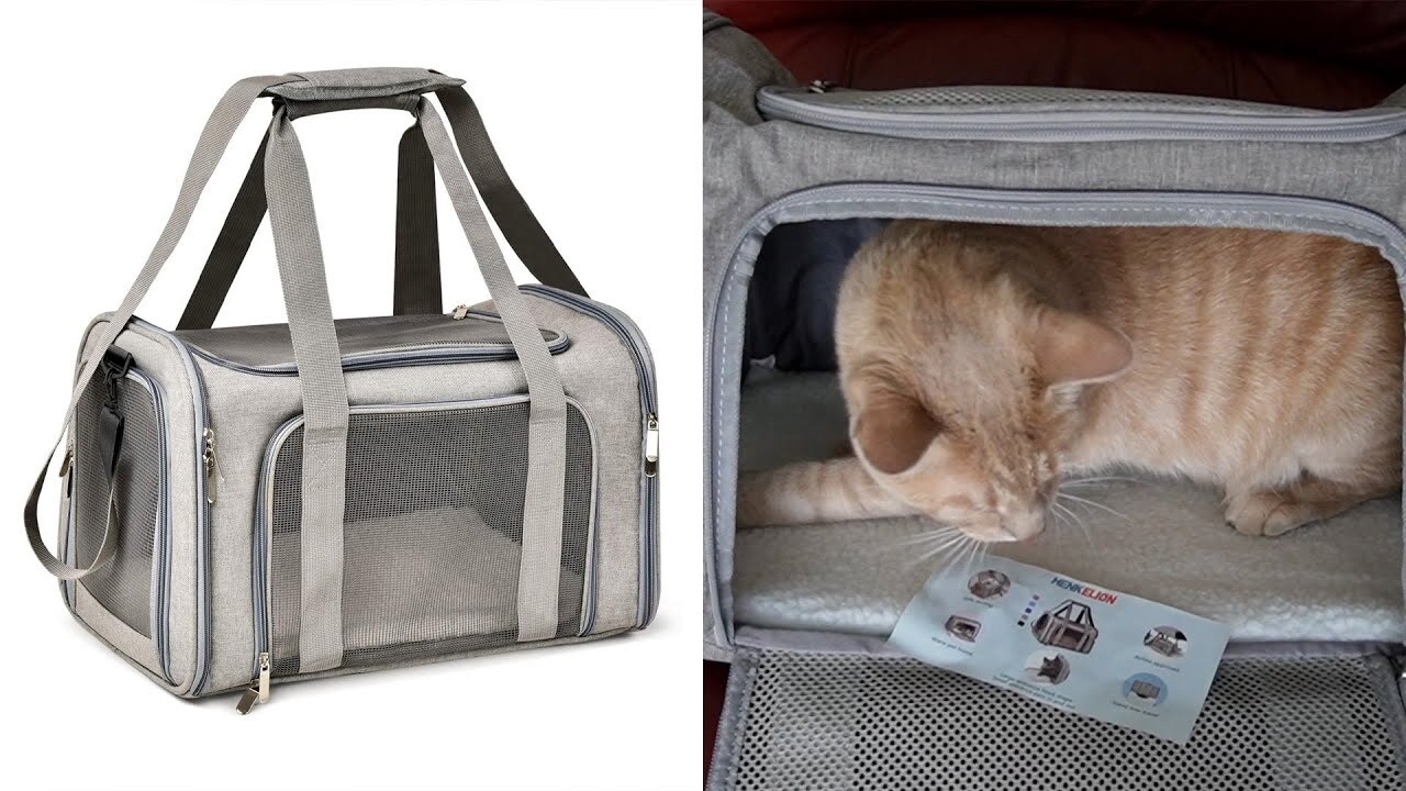 Video thumbnail for Does My Cat Like This Henkelion Cat Carrier? | Review