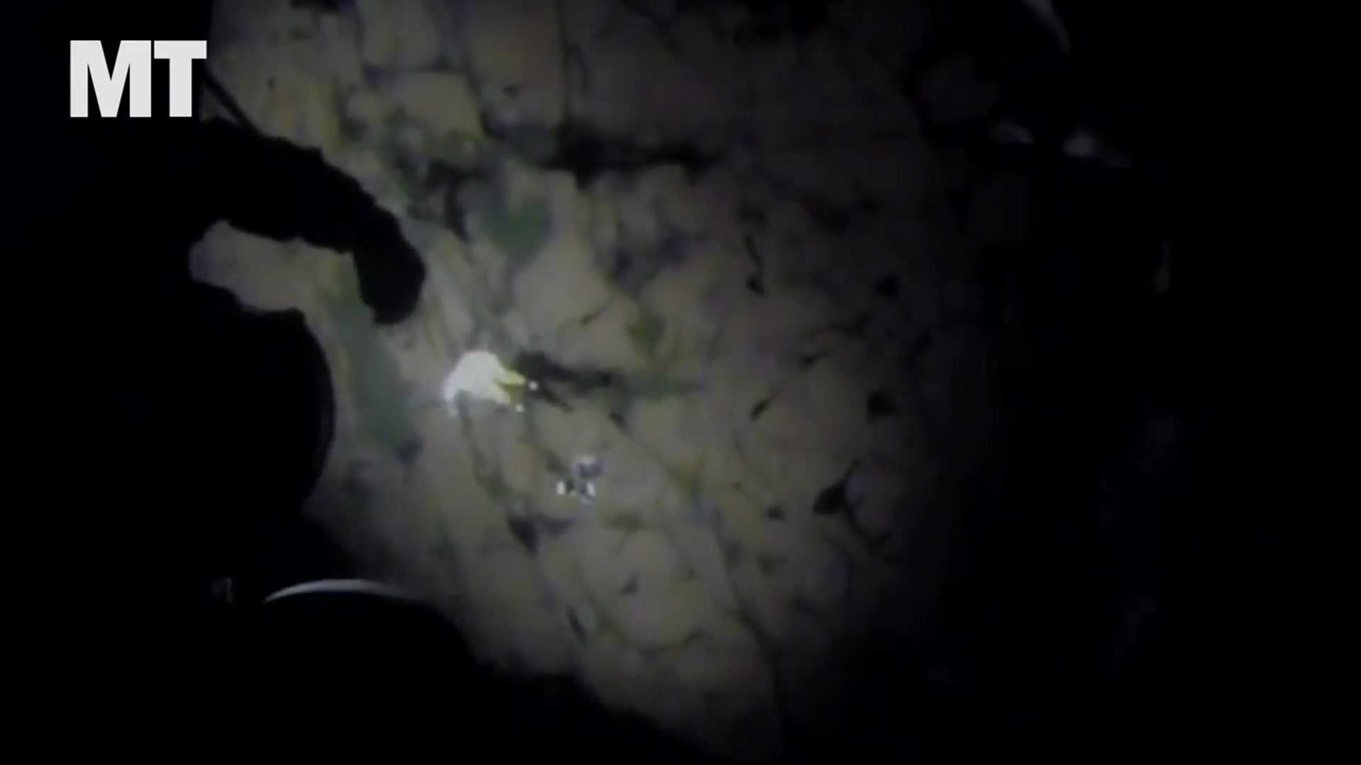 'Video thumbnail for Four girls rescued by USCG in MN'