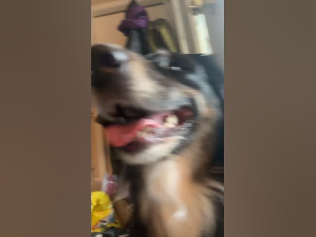 Video thumbnail for I’m doing this trend now