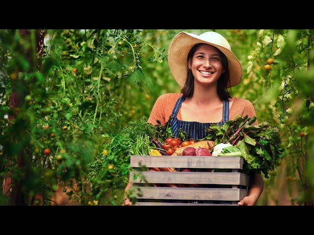 'Video thumbnail for Reduzca el ácido úrico naturalmente: video blog'