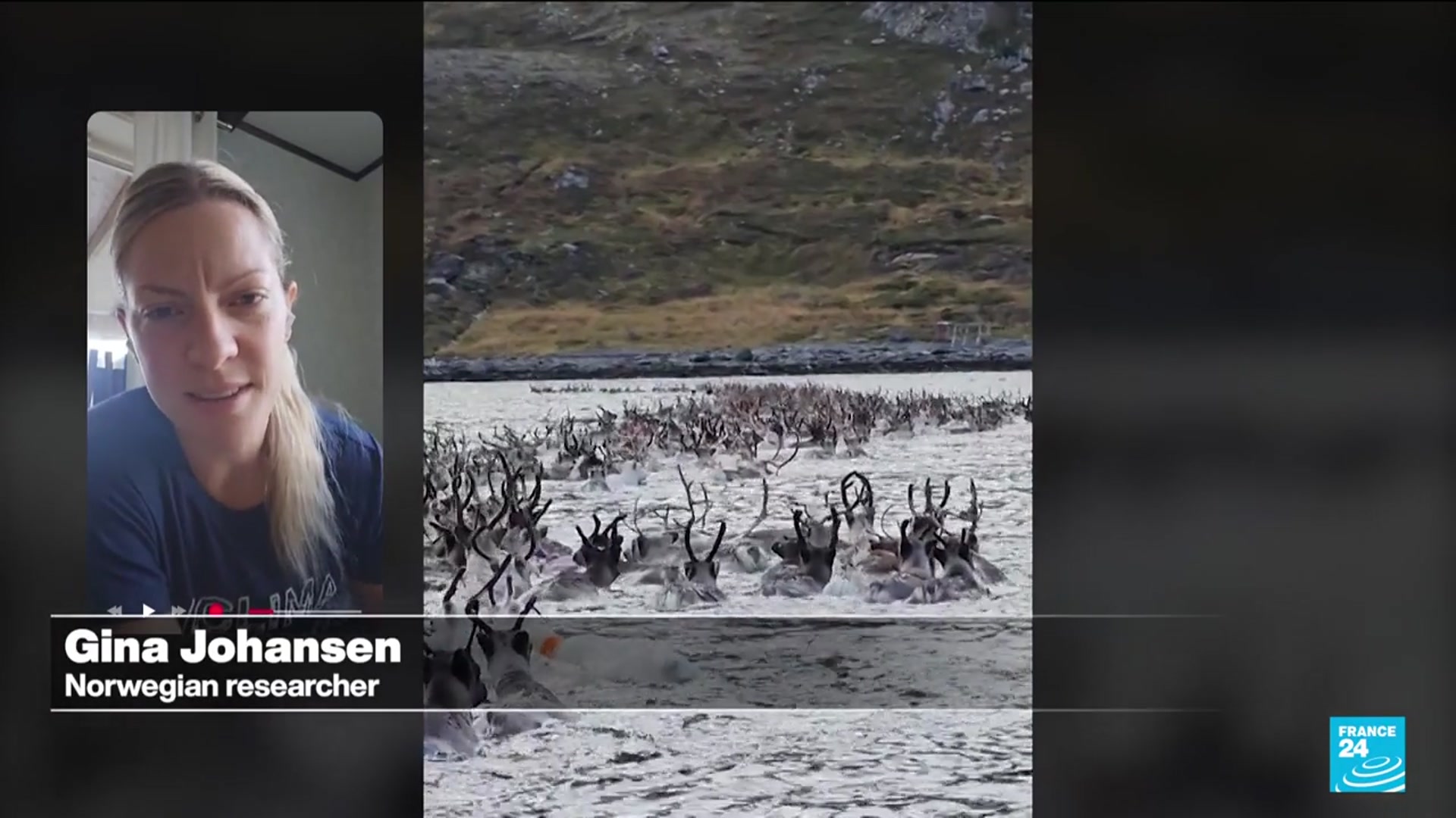 'Video thumbnail for The spectacle of animal migration across the world'