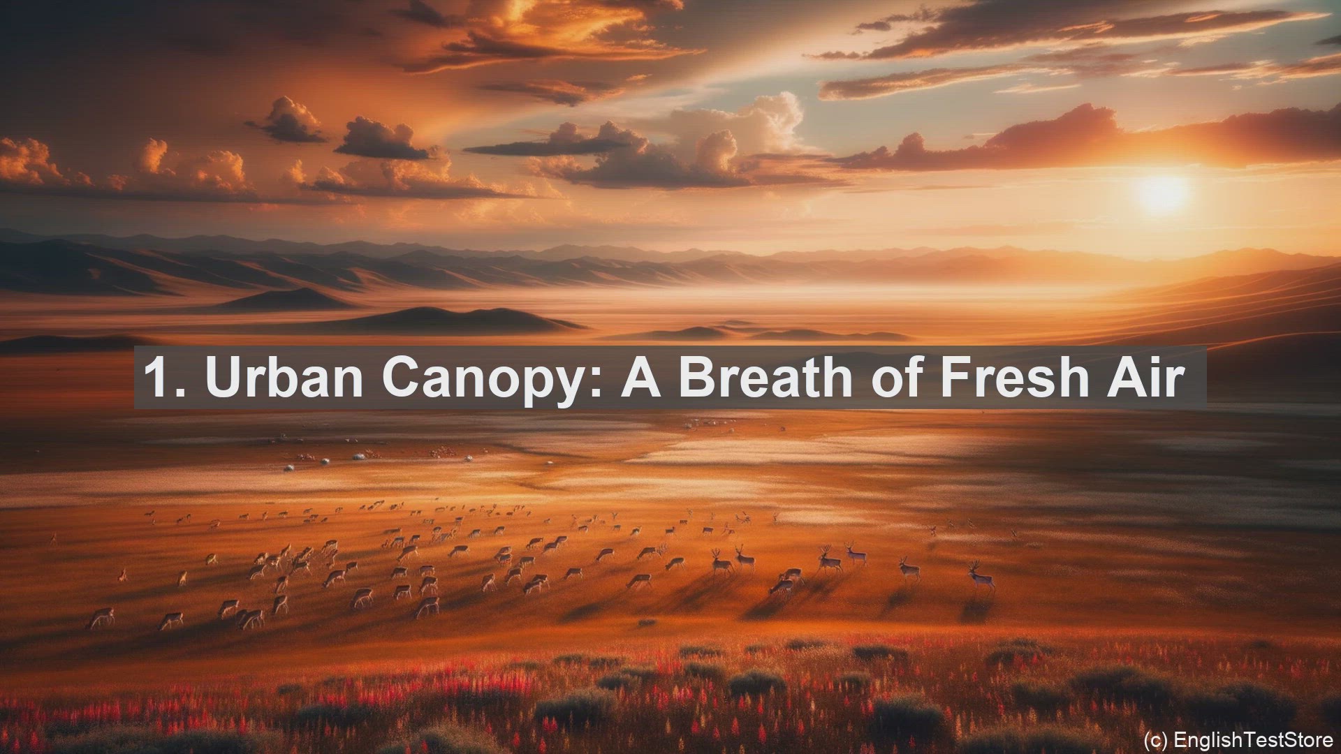 'Video thumbnail for Top 10 Key Phrases for Discussing Urban Tree Planting Initiatives'