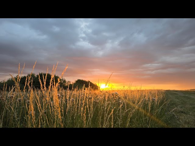 Video thumbnail for ESAi - Opa opa