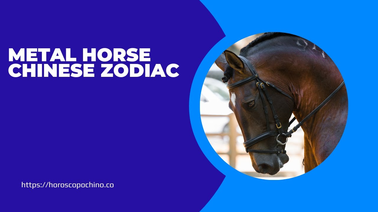 'Video thumbnail for Metal horse chinese zodiac, video blog'