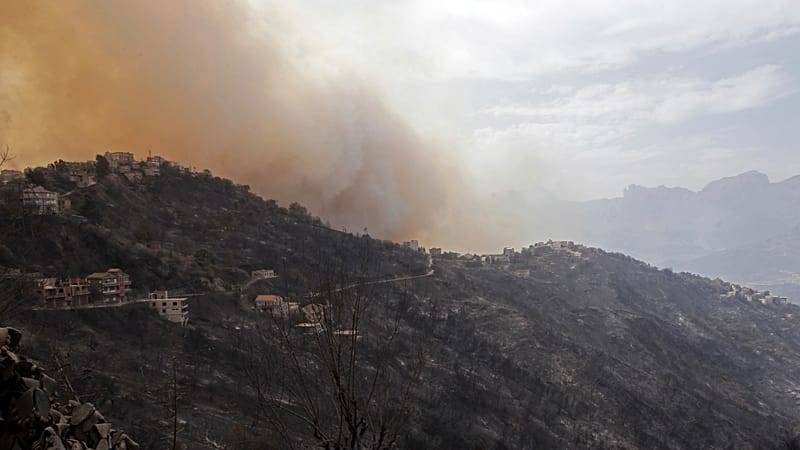 Video thumbnail for Death toll from Algeria wildfires rises to 12, dozens injured