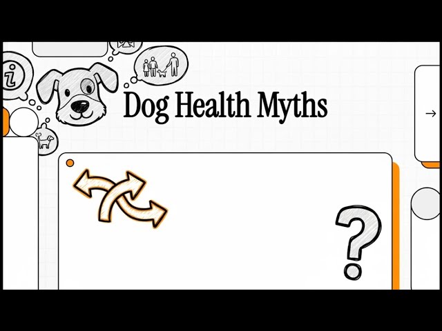 Video thumbnail for Dog Health Myths: Debunking Misconceptions