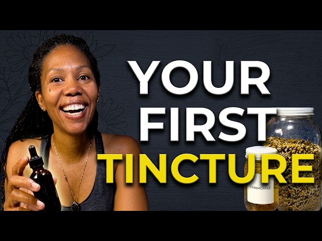 Video thumbnail for Chamomile Tincture, Step by Step: Folk Method