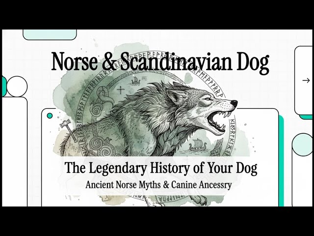 Video thumbnail for Dogs in Norse Mythology: Dog Myths from Scandinavia
