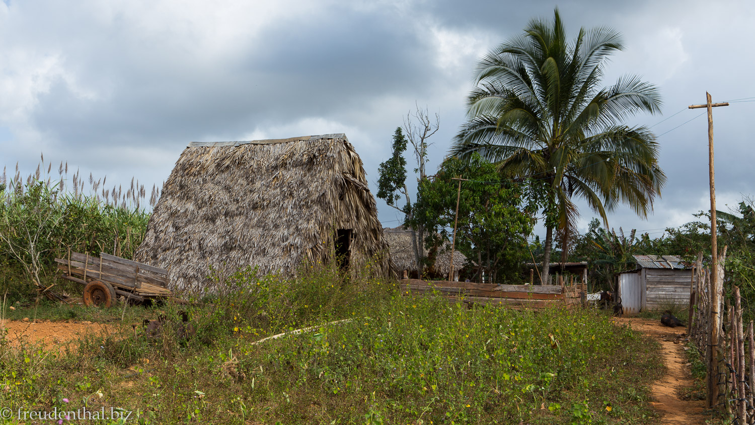 'Video thumbnail for Reitausflug ins Viñales Tal | Rundreise durch Kuba'