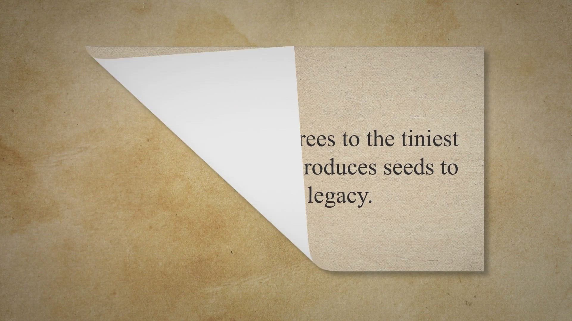 Video thumbnail for What Part of the Plant Makes Seeds