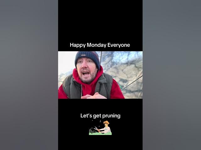 Video thumbnail for 🎥 ✅ 🍏 Pruning Your Fruit Trees ✂️🌿 | Winter Guide for Healthy Growth |