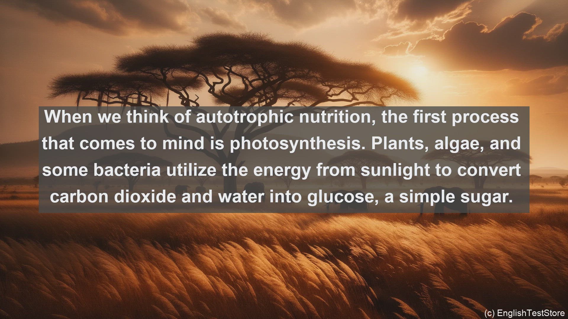 'Video thumbnail for Autotrophic nutrition in science  definition and examples'
