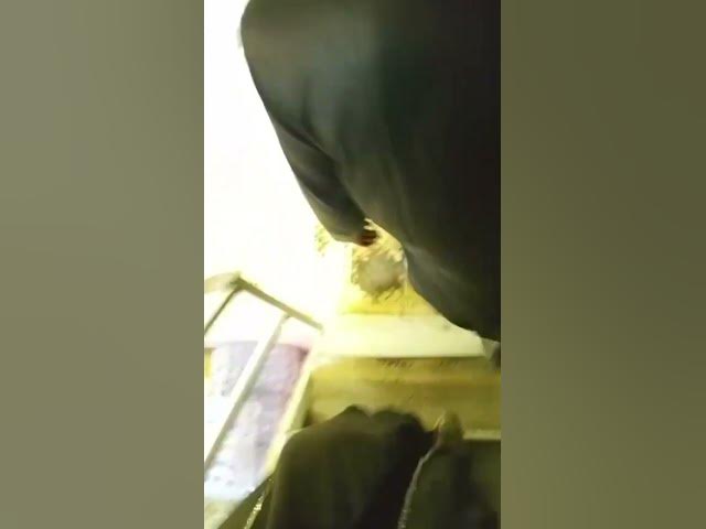 Video thumbnail for #xmlprese #am_editors_bd #cute #alightmotion #zepeto #aakhirkyutootichhorebargha