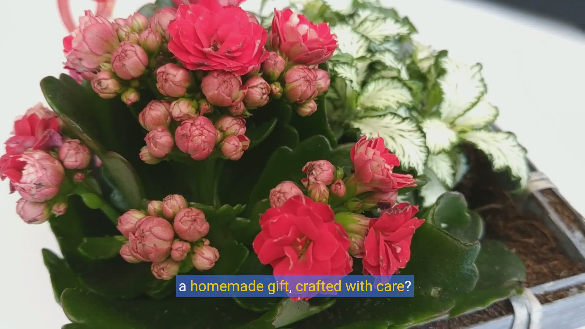 'Video thumbnail for Craft the Perfect Surprise:DIY Mother's Day Gift Ideas!'