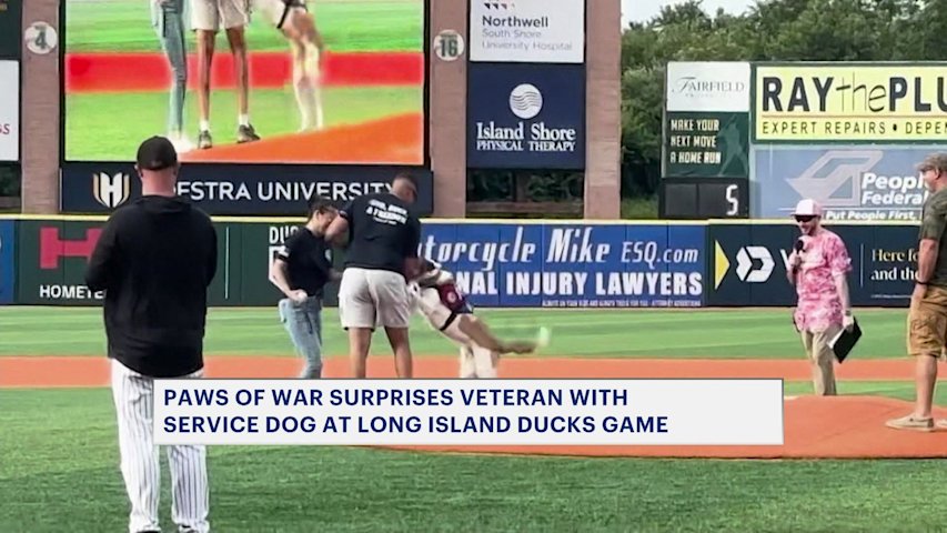 Video thumbnail for Paws of War surprises Marines veteran with service dog at Long Island Ducks game