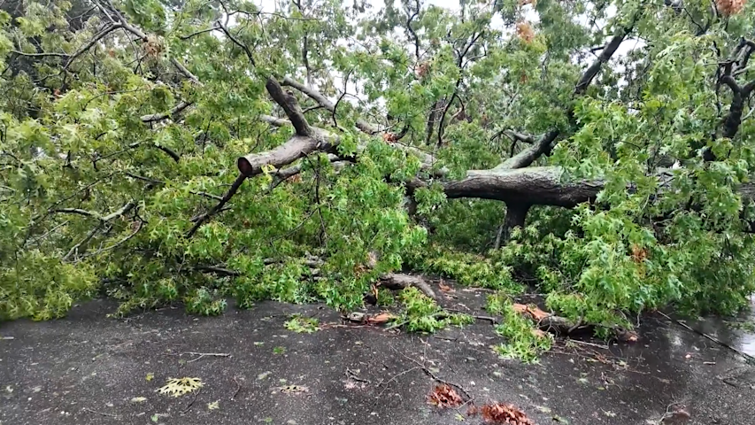Video thumbnail for Massive tree blocks Huntington Station street as neighbors remain without power