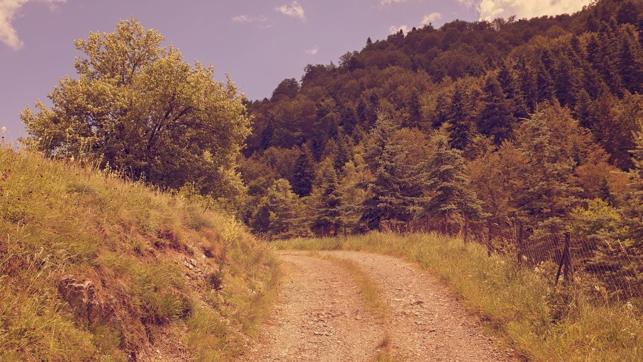 'Video thumbnail for Earthy brown color: video blog'