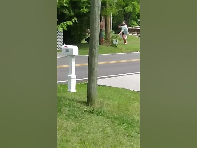 Video thumbnail for Big raccoon with rabies and you trying to feed it