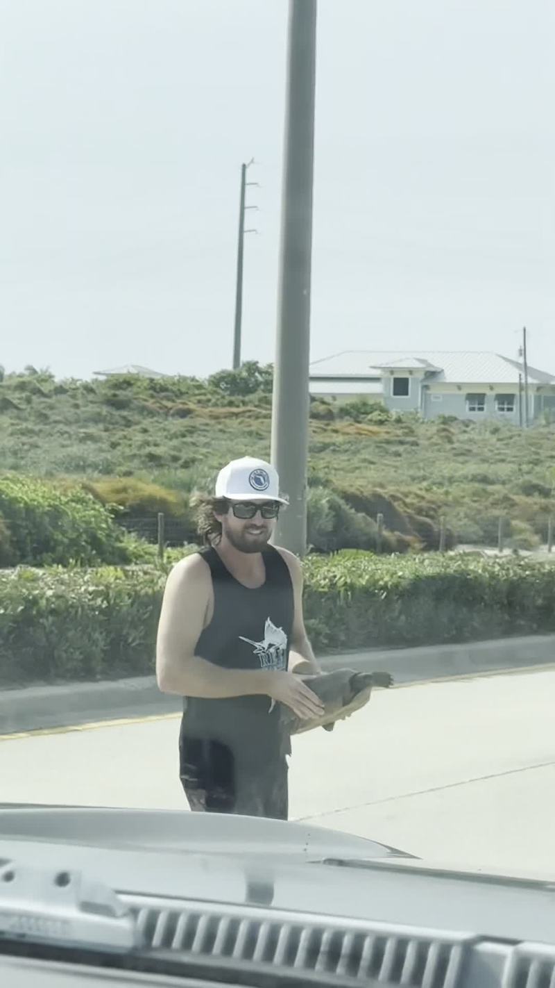 Video thumbnail for Rescuing a Tortoise from a Busy Coastal Road