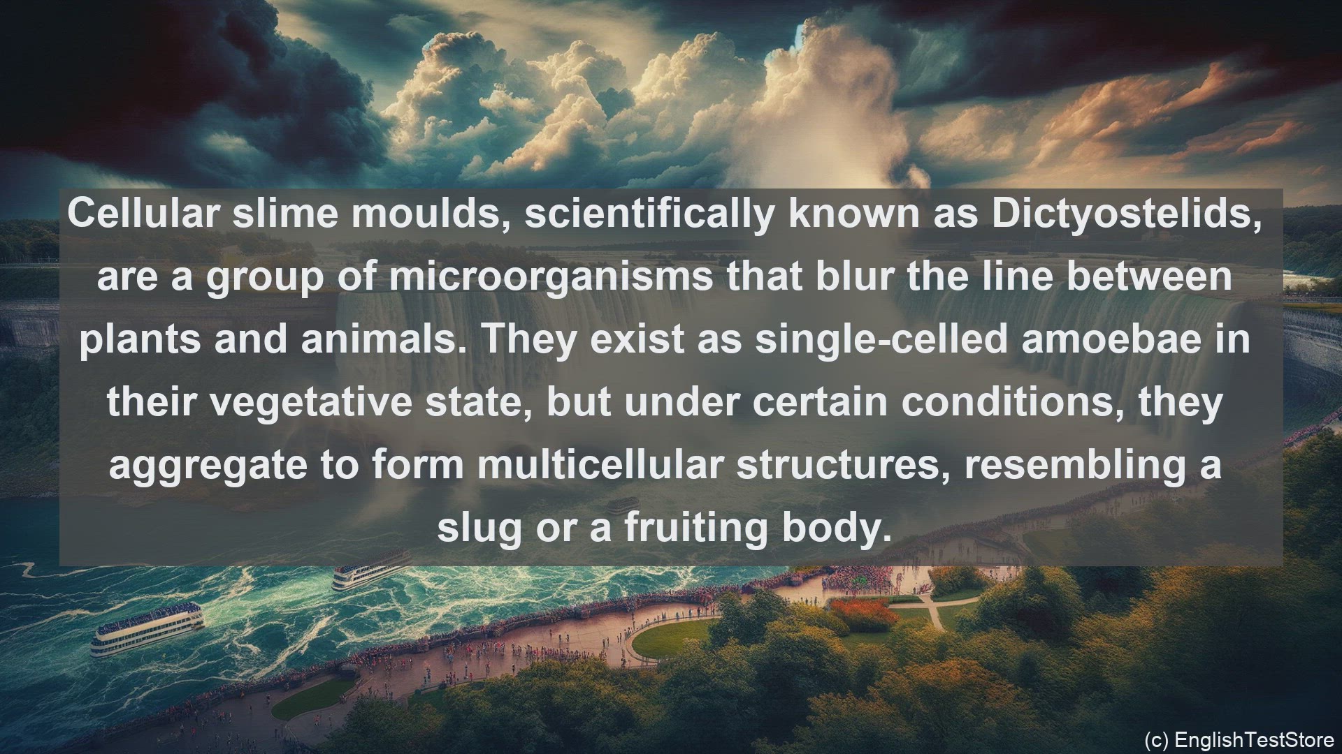 'Video thumbnail for Cellular slime moulds in science  definition and examples'
