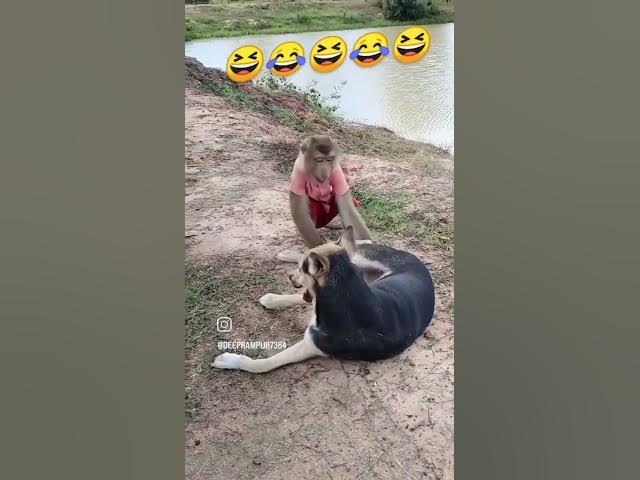 Video thumbnail for 21 November 2025