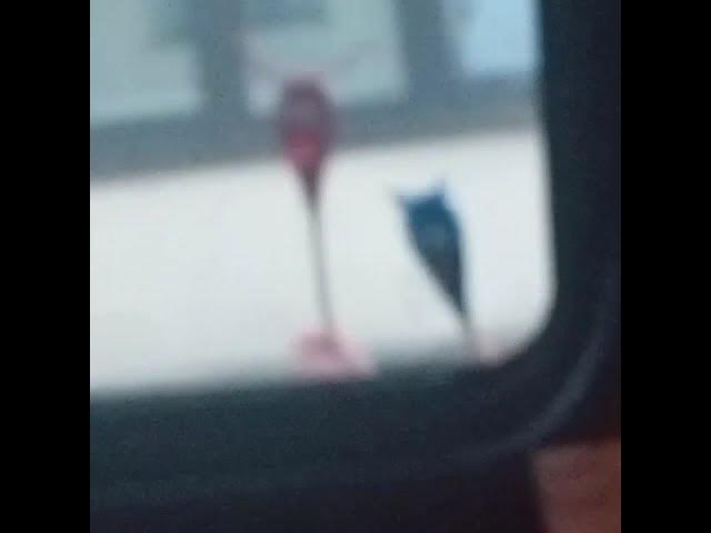 Video thumbnail for James McArthur + Christmas Advert 2025 - Teaser 2