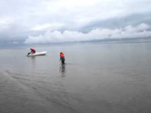 Video thumbnail for garnaaltjes