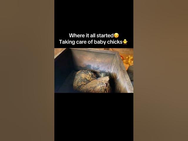 Video thumbnail for π£β¨ Where We All Started