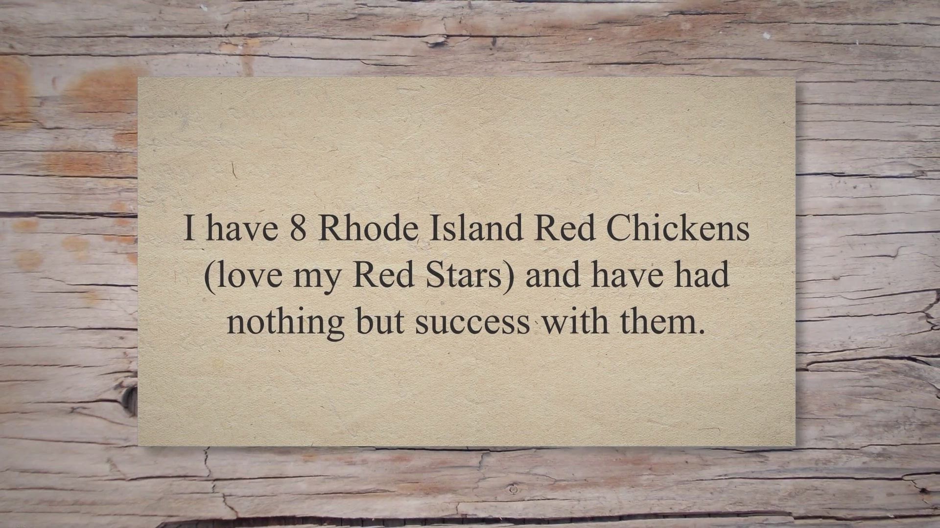 Video thumbnail for PROS And CONS Of Keeping Rhode Island Red Chickens!