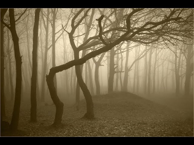 Video thumbnail for If Worlds Collide Archives: Call of the Fangmoor, the First Day