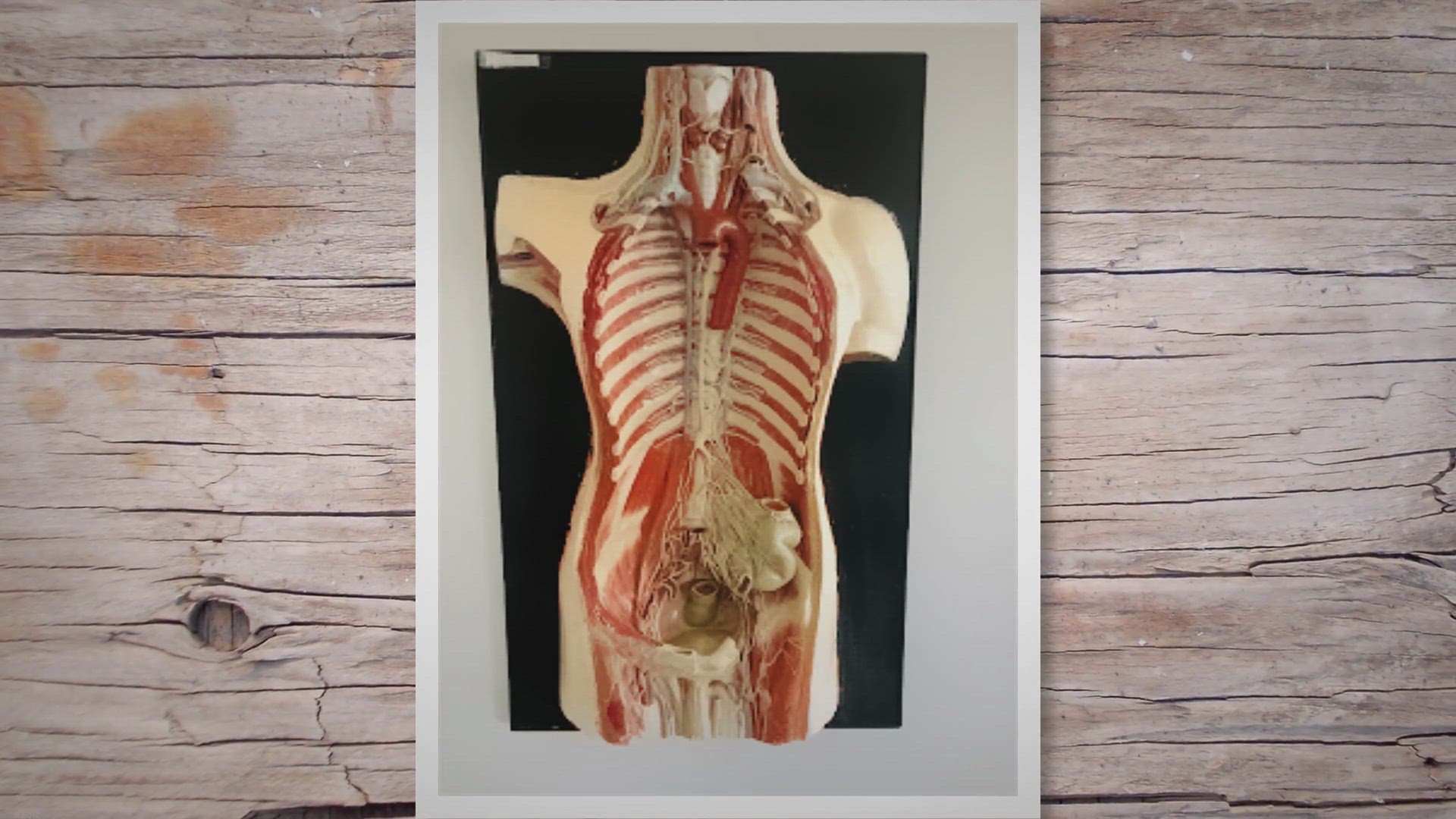 Video thumbnail for Neuropathy Signs and Peripherial Treament Options