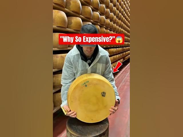 Video thumbnail for The Secret Behind the World's Most Expensive Cheese🧀 #shorts #cheese