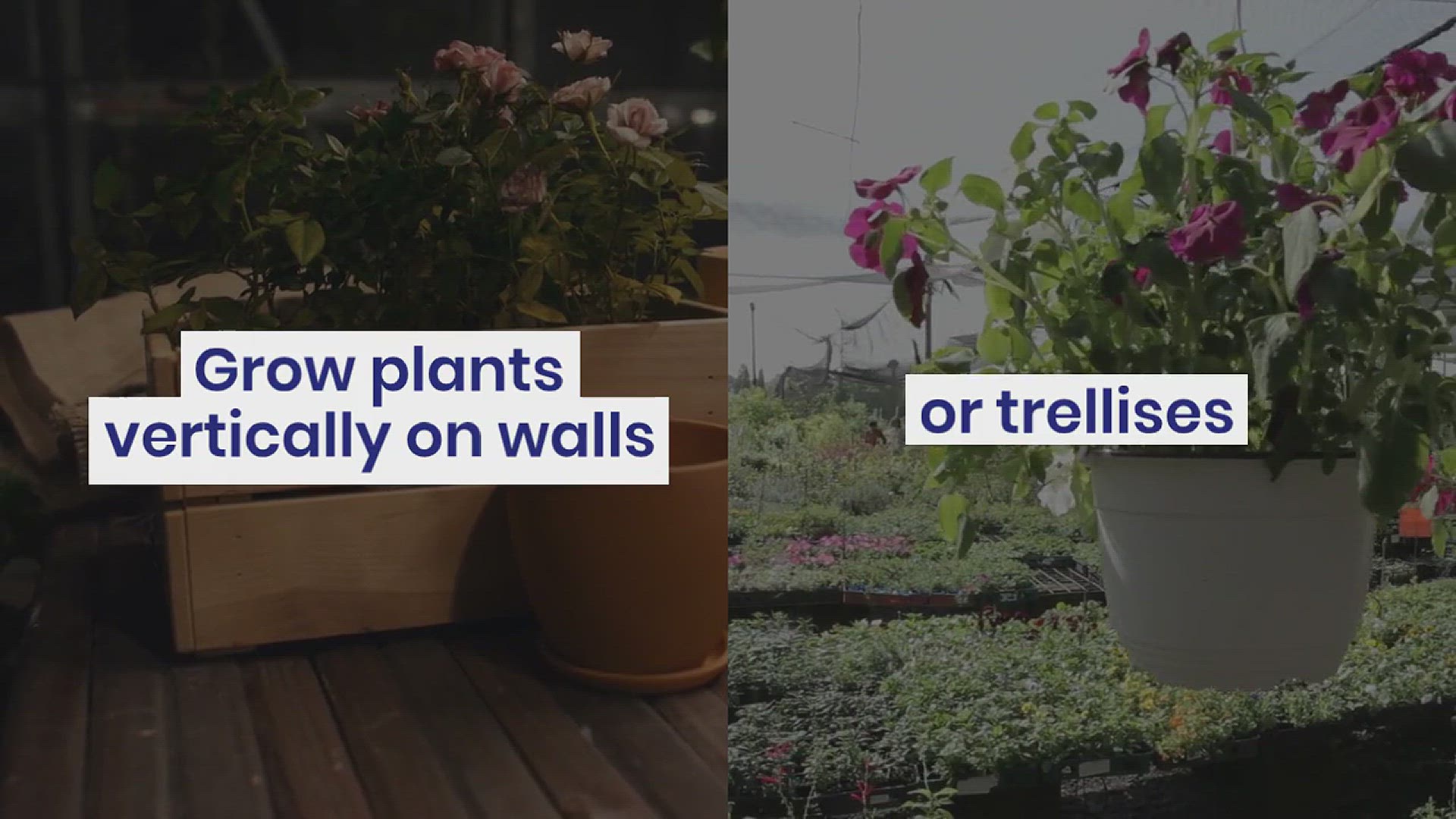 'Video thumbnail for Small backyard landscaping ideas'