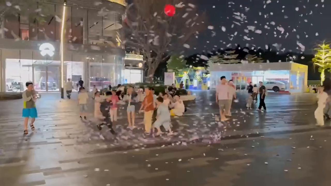 Video thumbnail for China: Children chase petals lifted by sudden wind in China.