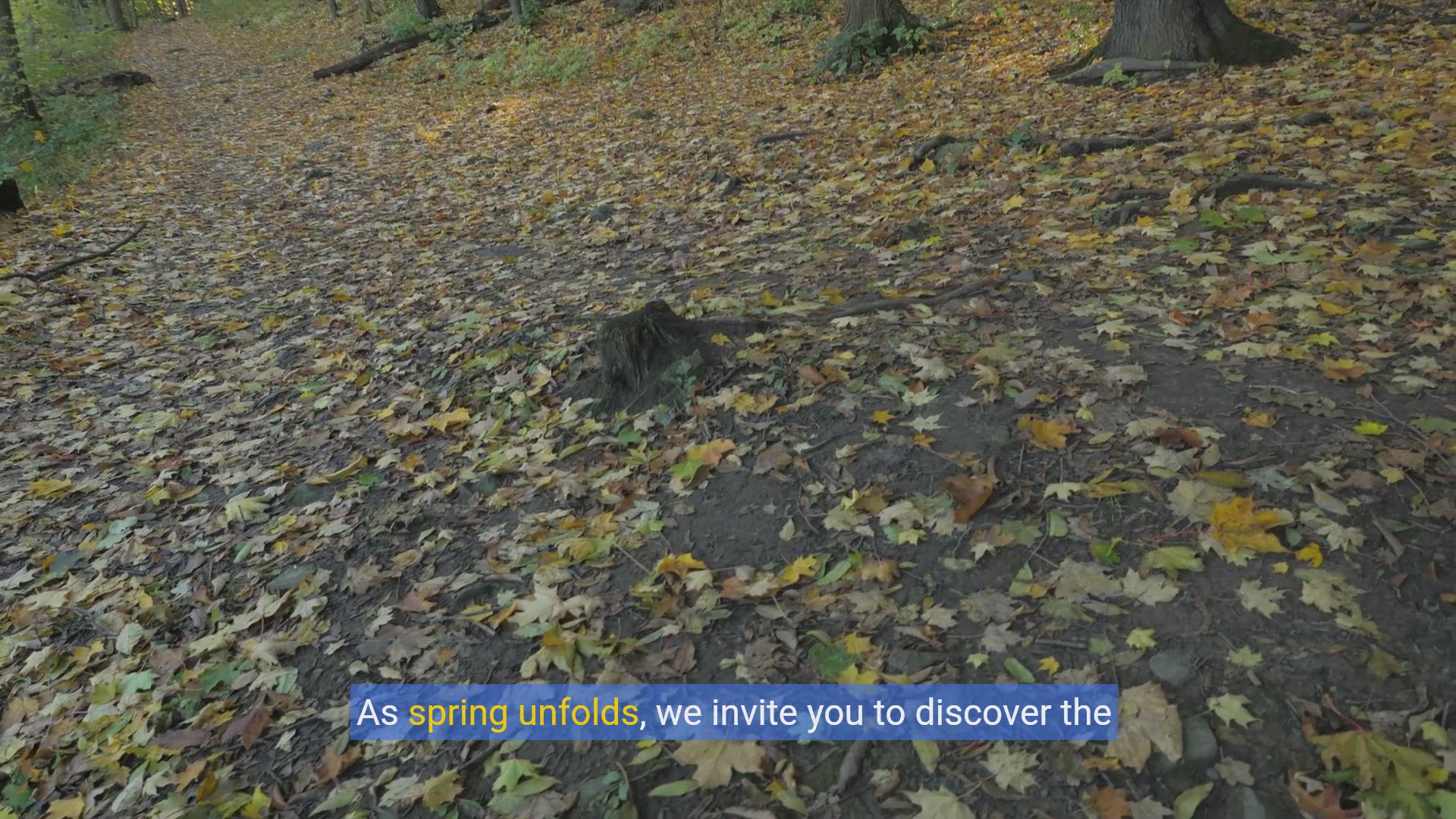 'Video thumbnail for Spring Hiking 101:Essential Gear, Safety, and Tips for Beginners'