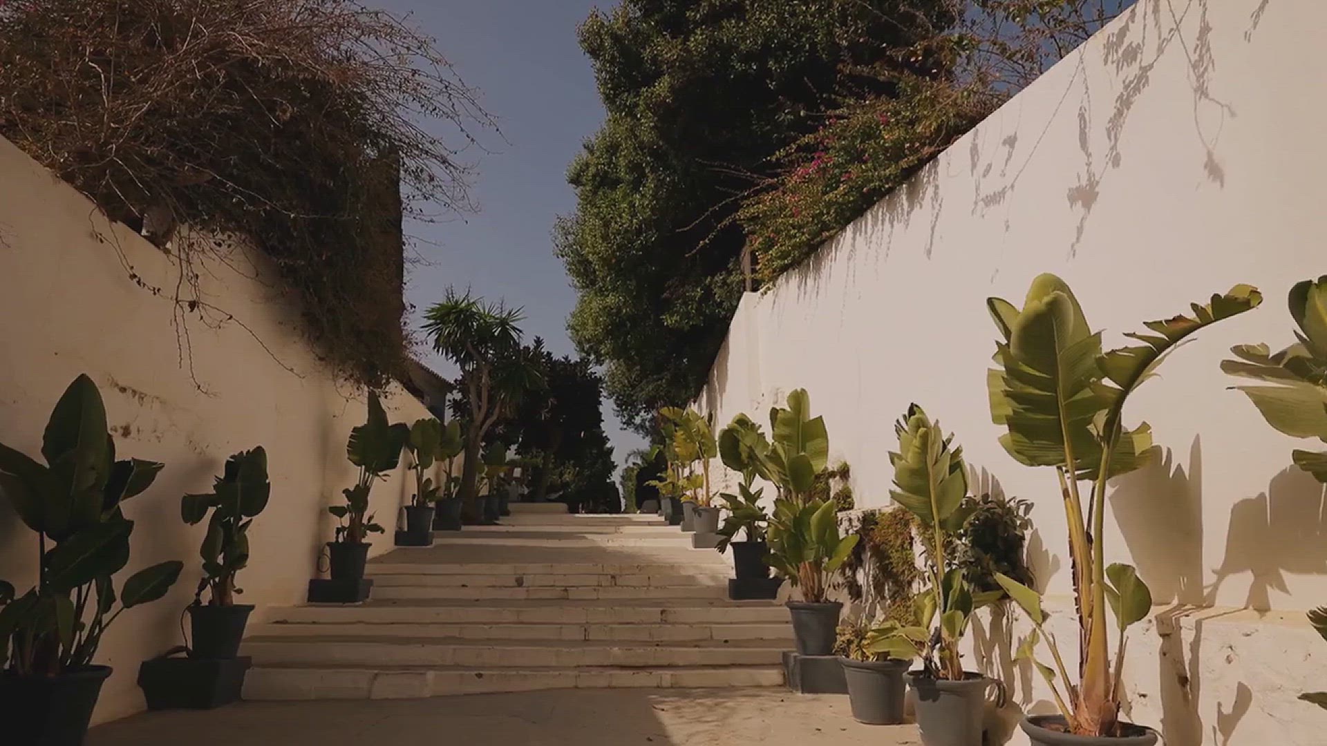 'Video thumbnail for Hillside Landscaping Ideas'