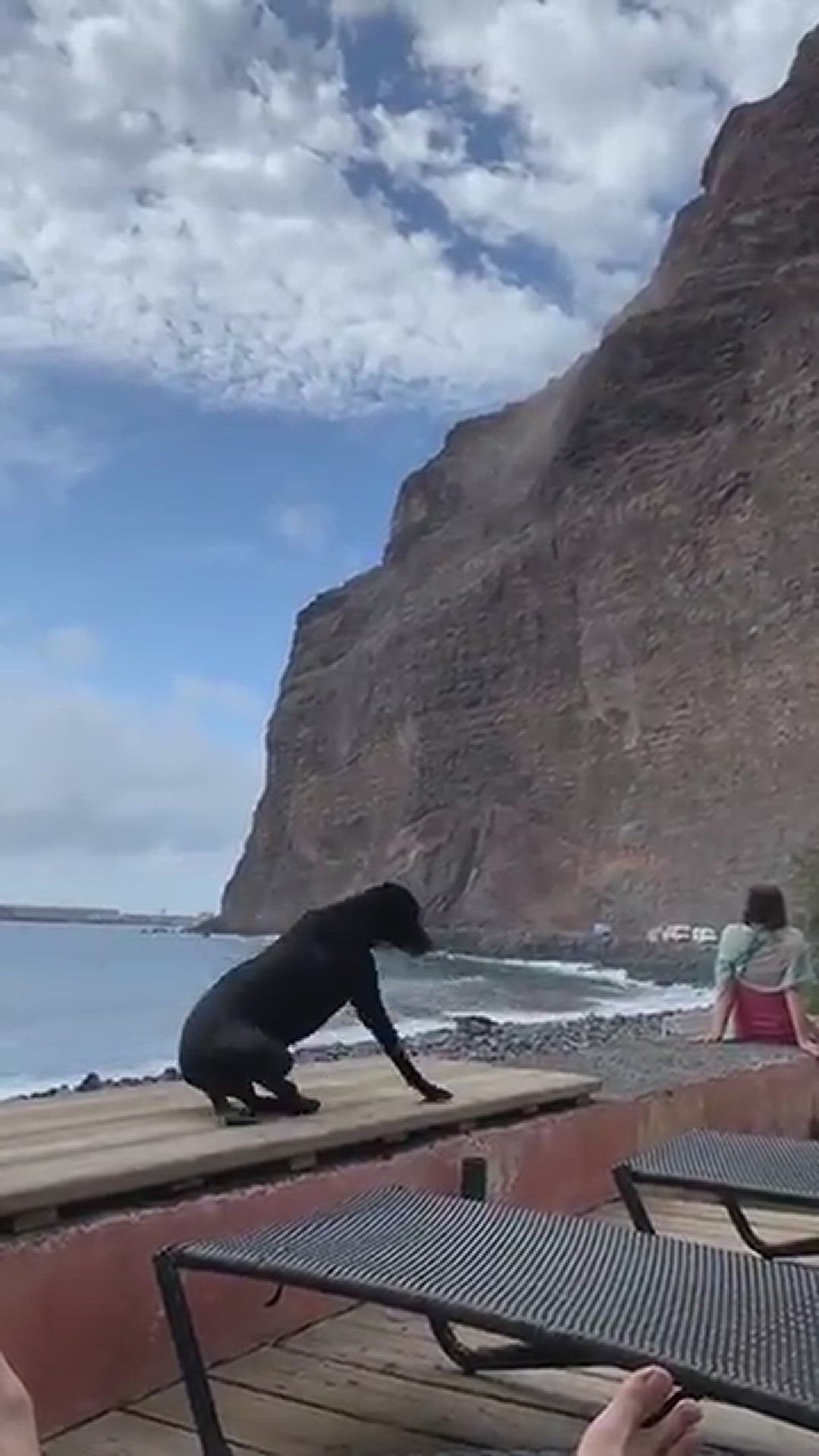 'Video thumbnail for Klippe auf La Gomera abgestürzt'