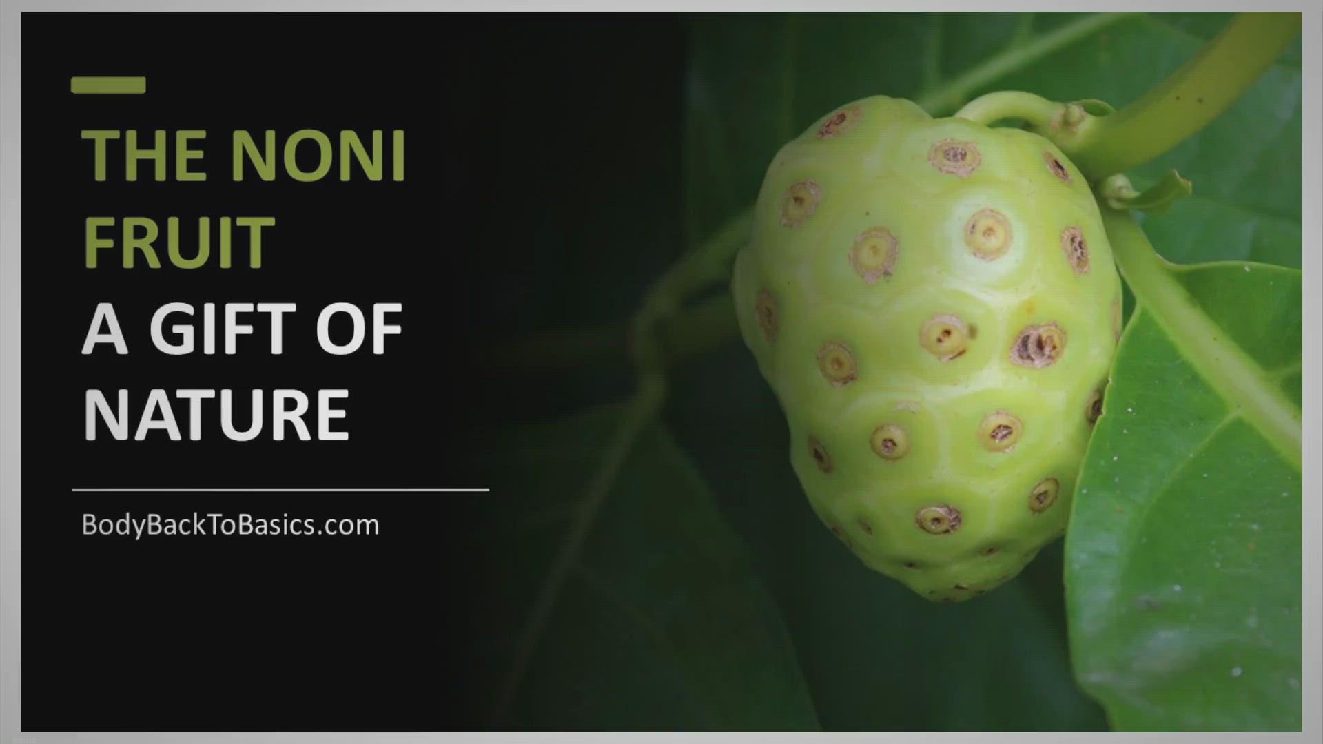 'Video thumbnail for Noni Fruit, a Gift from Nature'