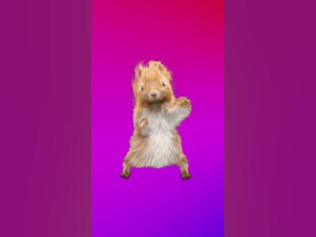 Video thumbnail for Jimmy dancing part2