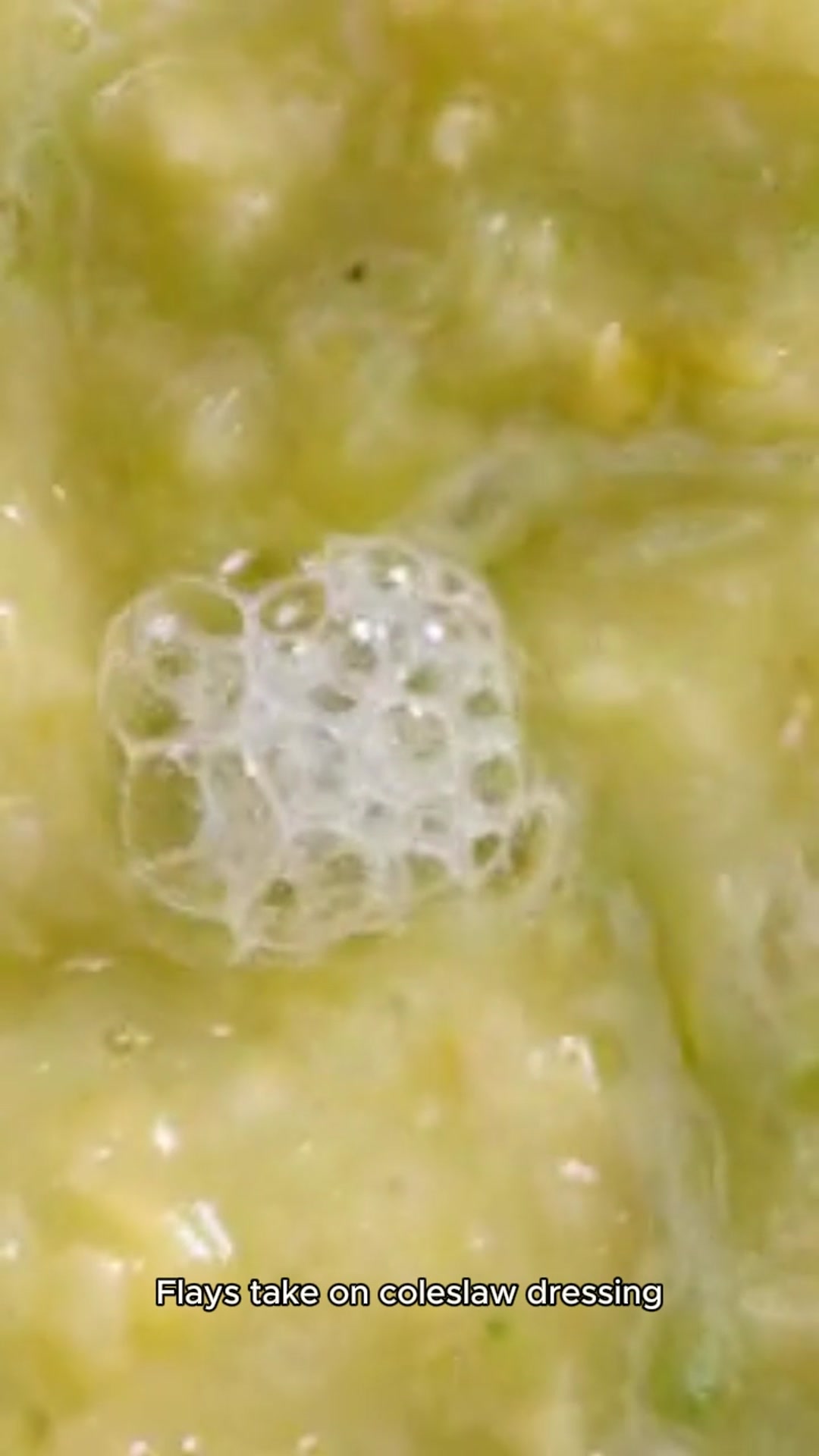 Video thumbnail for cole slaw dressing recipe