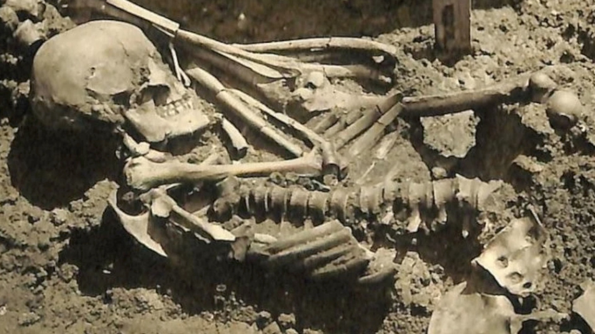 Video thumbnail for A Closer Look at Evidence of Earliest Shark Attacks