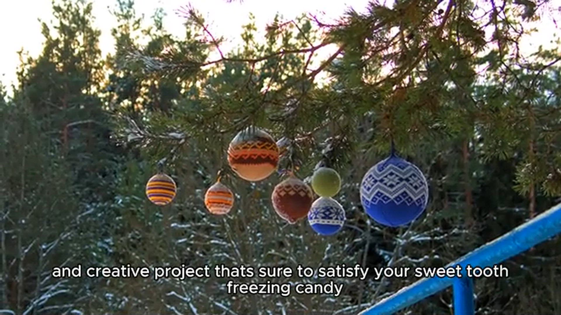 'Video thumbnail for How To Freeze Dry Candy'