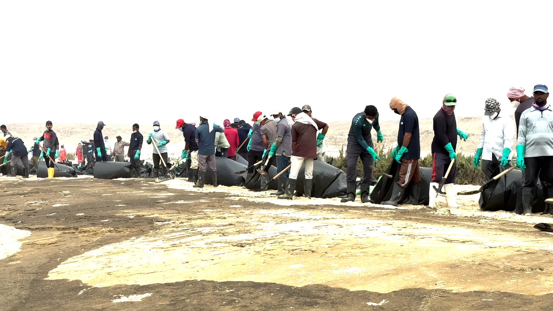 Video thumbnail for Cleanup underway as Russian oil spill reaches Oman's coastline