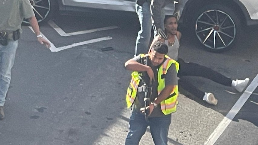 Video thumbnail for ICE agent shoots man in the Bronx