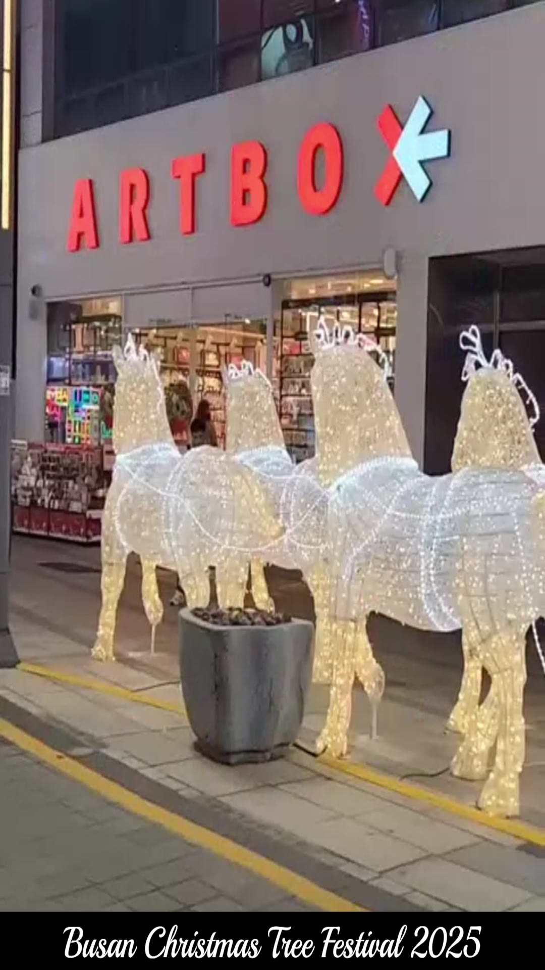 Video thumbnail for ✨🎄 Lights On! Busan Christmas Tree Festival 2025 Is Finally Here! 🎄✨