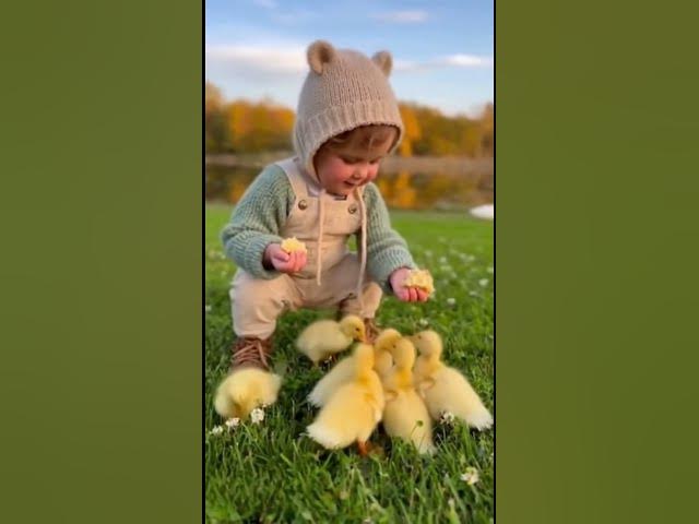 Video thumbnail for 🐤 Baby Playing and Feeding Ducklings – Cuteness Overload! 🐤