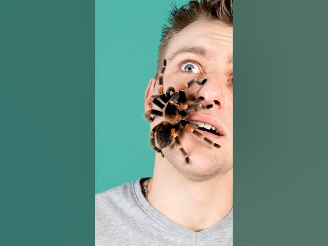 Video thumbnail for #Spider