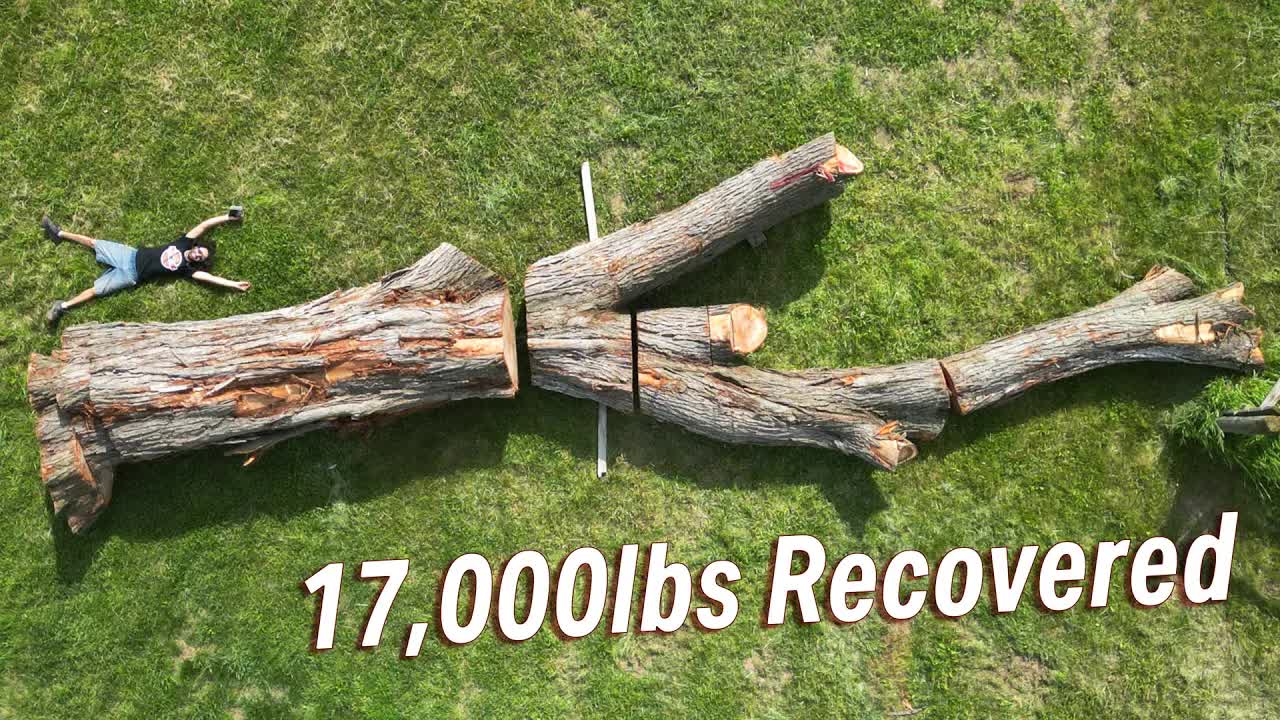 Video thumbnail for matthew cremona: sentimental elm tree salvage: crane removal, urban logging & woodworking