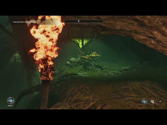 Video thumbnail for Oblivion Remastered - Addiction: Survive Dunroot Burrow: Chalice of Reversal Location | Gameplay